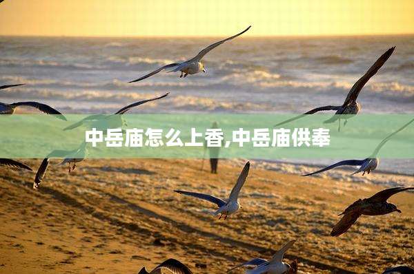 中岳庙怎么上香,中岳庙供奉