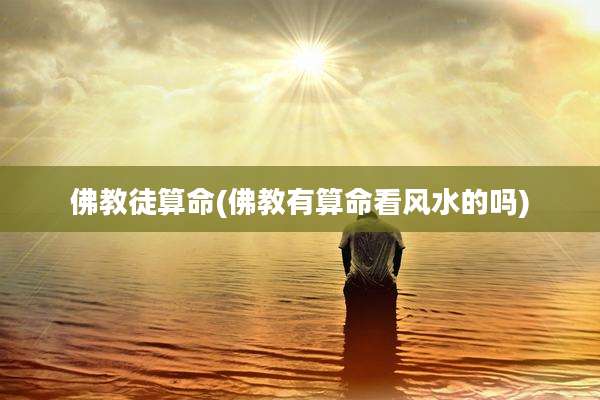 佛教徒算命(佛教有算命看风水的吗)