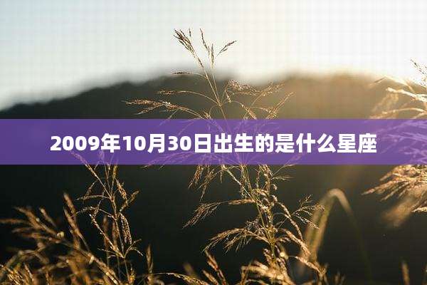 2009年10月30日出生的是什么星座