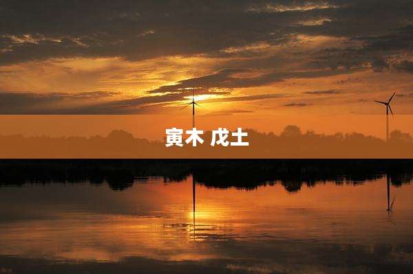 寅木 戊土