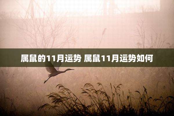 属鼠的11月运势 属鼠11月运势如何