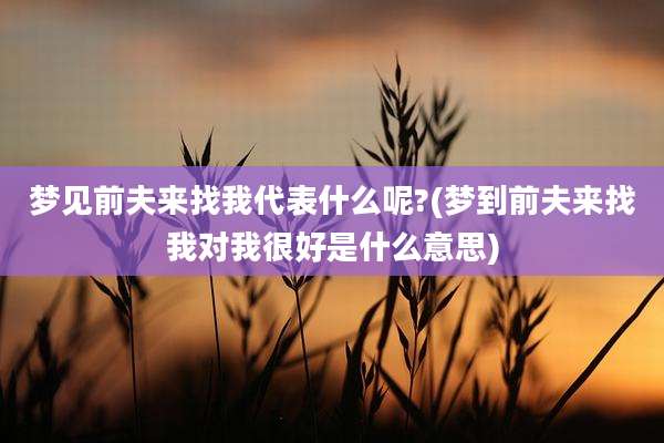 梦见前夫来找我代表什么呢?(梦到前夫来找我对我很好是什么意思)