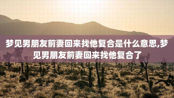 梦见男朋友前妻回来找他复合是什么意思,梦见男朋友前妻回来找他复合了
