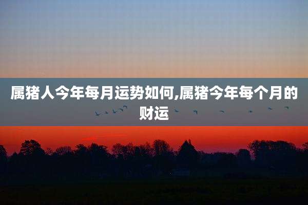 属猪人今年每月运势如何,属猪今年每个月的财运