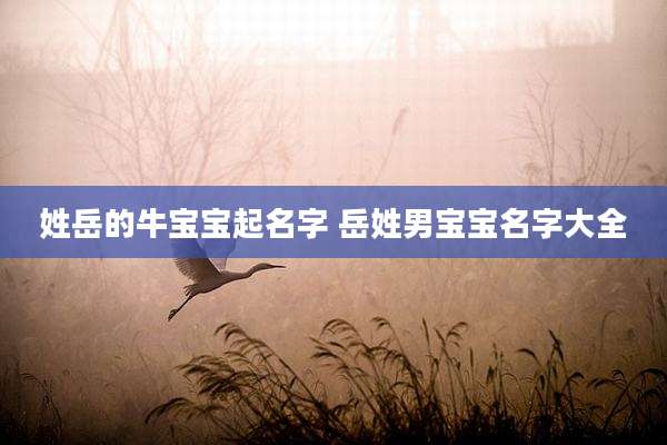 姓岳的牛宝宝起名字 岳姓男宝宝名字大全