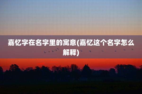 嘉忆字在名字里的寓意(嘉忆这个名字怎么解释)