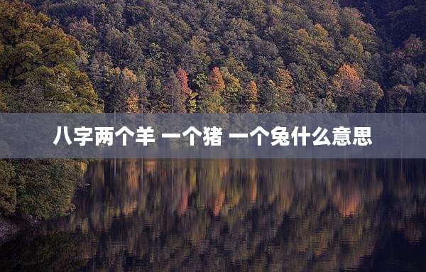 八字两个羊 一个猪 一个兔什么意思