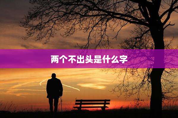 两个不出头是什么字