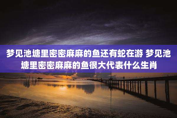 梦见池塘里密密麻麻的鱼还有蛇在游 梦见池塘里密密麻麻的鱼很大代表什么生肖