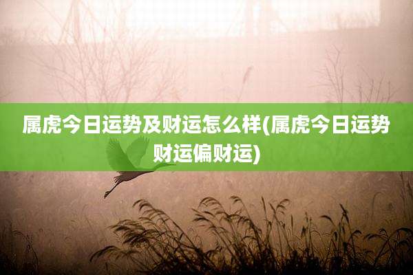 属虎今日运势及财运怎么样(属虎今日运势财运偏财运)