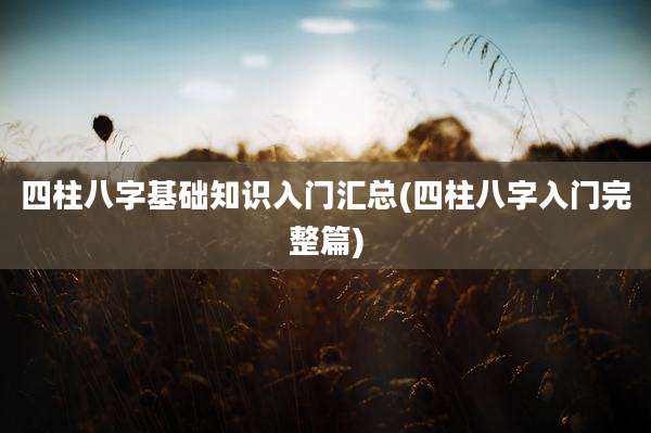四柱八字基础知识入门汇总(四柱八字入门完整篇)