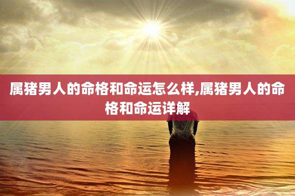 属猪男人的命格和命运怎么样,属猪男人的命格和命运详解