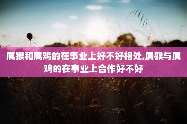 属猴和属鸡的在事业上好不好相处,属猴与属鸡的在事业上合作好不好