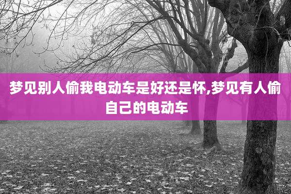 梦见别人偷我电动车是好还是怀,梦见有人偷自己的电动车