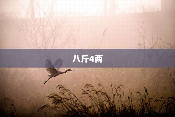 八斤4两
