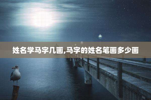 姓名学马字几画,马字的姓名笔画多少画