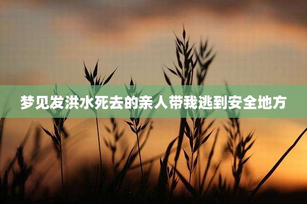 梦见发洪水死去的亲人带我逃到安全地方