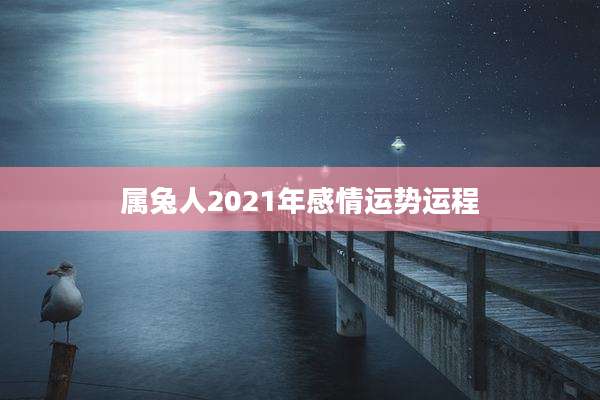 属兔人2021年感情运势运程