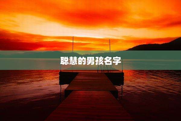 聪慧的男孩名字
