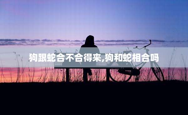 狗跟蛇合不合得来,狗和蛇相合吗