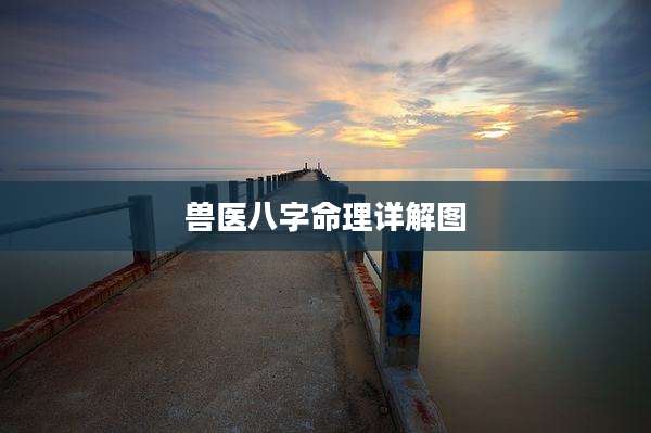 兽医八字命理详解图