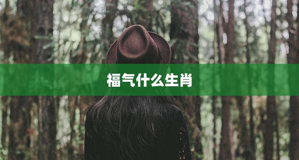 福气什么生肖