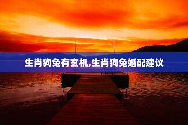 生肖狗兔有玄机,生肖狗兔婚配建议