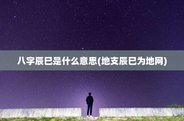 八字辰巳是什么意思(地支辰巳为地网)