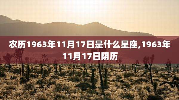 农历1963年11月17日是什么星座,1963年11月17日阴历
