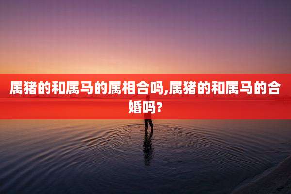 属猪的和属马的属相合吗,属猪的和属马的合婚吗?