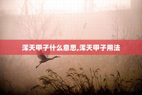 浑天甲子什么意思,浑天甲子用法