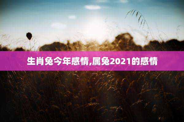 生肖兔今年感情,属兔2021的感情