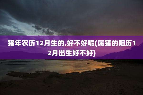 猪年农历12月生的,好不好呢(属猪的阳历12月出生好不好)