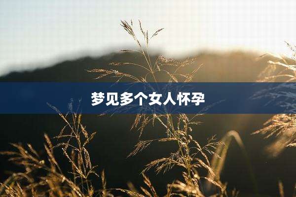 梦见多个女人怀孕