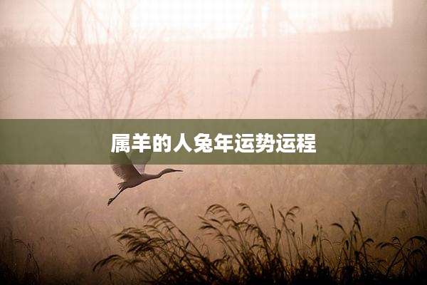 属羊的人兔年运势运程