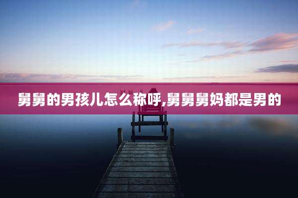舅舅的男孩儿怎么称呼,舅舅舅妈都是男的
