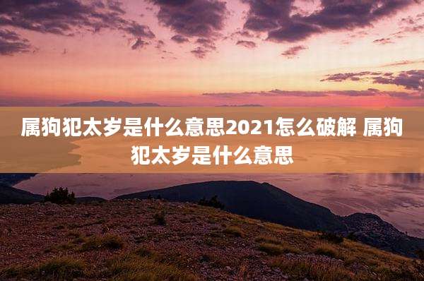 属狗犯太岁是什么意思2021怎么破解 属狗犯太岁是什么意思
