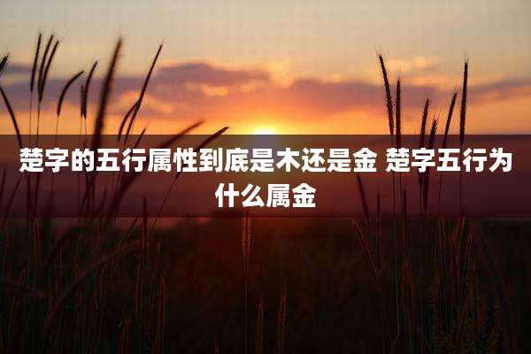 楚字的五行属性到底是木还是金 楚字五行为什么属金