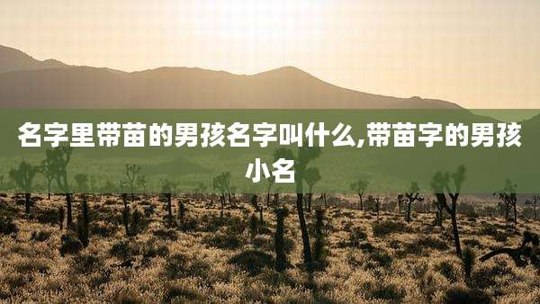 名字里带苗的男孩名字叫什么,带苗字的男孩小名
