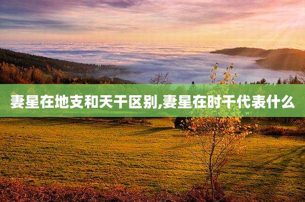 妻星在地支和天干区别,妻星在时干代表什么