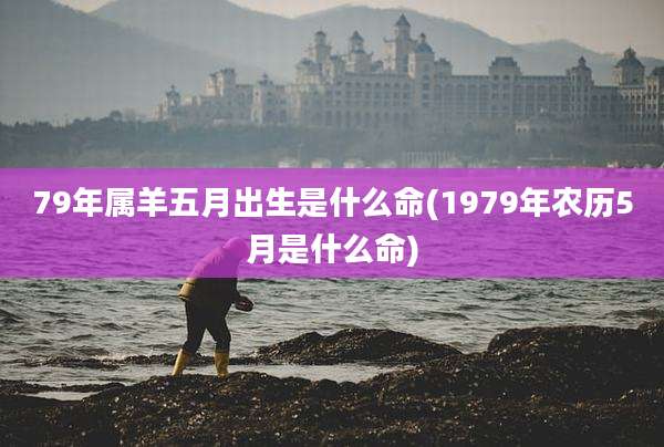 79年属羊五月出生是什么命(1979年农历5月是什么命)