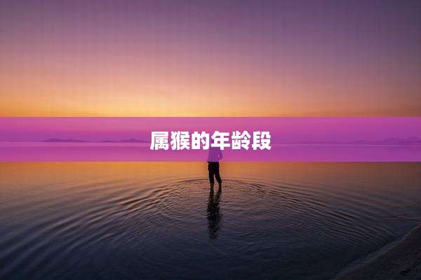 属猴的年龄段