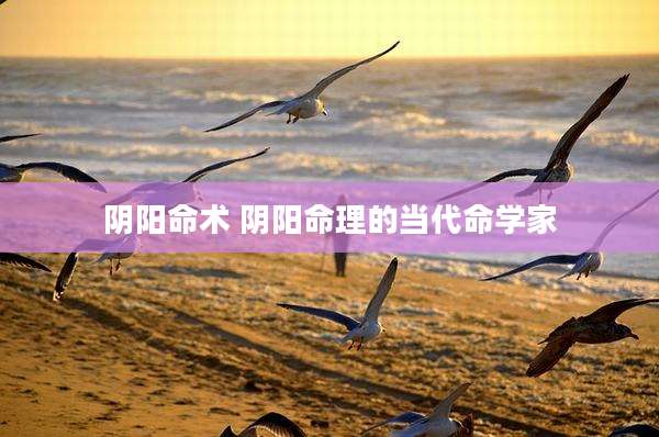 阴阳命术 阴阳命理的当代命学家
