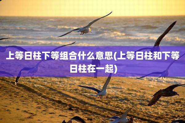 上等日柱下等组合什么意思(上等日柱和下等日柱在一起)