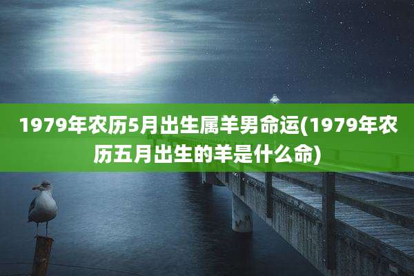 1979年农历5月出生属羊男命运(1979年农历五月出生的羊是什么命)