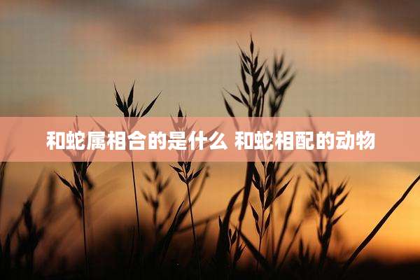 和蛇属相合的是什么 和蛇相配的动物