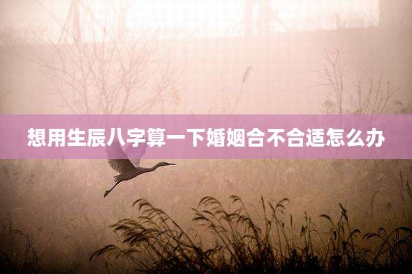 想用生辰八字算一下婚姻合不合适怎么办