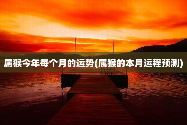 属猴今年每个月的运势(属猴的本月运程预测)
