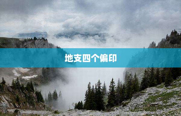 地支四个偏印