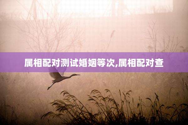 属相配对测试婚姻等次,属相配对查